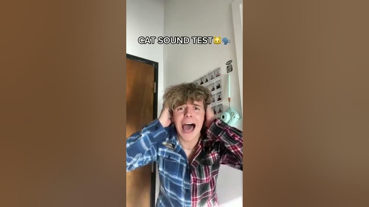 Only cats can hear this video🐱👂🏼