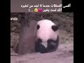 هذا انأ لا اشكي همي ولا اشكي حالي بحالي إحلالي
