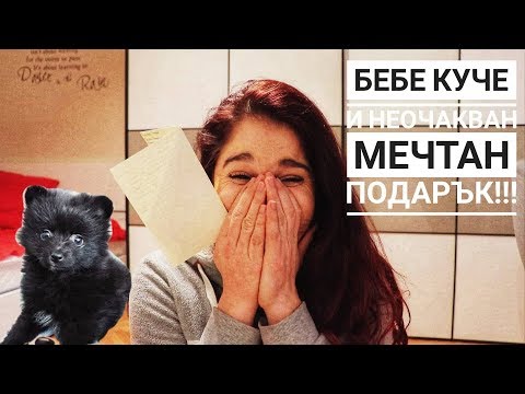 Видео: Симптоми на котешка левкемия