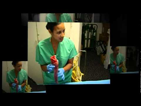 wake forest school of medicine nurse anesthesia program youtube wake forest anesthesiology
