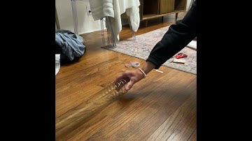 PHYS133 Lab 7: Waves