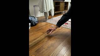 PHYS133 Lab 7: Waves