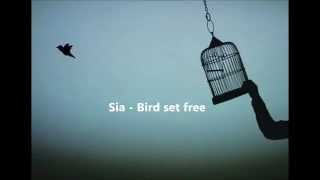Sia - bird set free sub español chords
