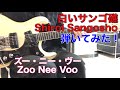 白いサンゴ礁 ズー・ニー・ヴー TOMO幸さんのリクエストです。Shiroi Sangosho/Zoo Nee Voo 1969年 モズライトギターで弾いてみた!USA mosrite guitar