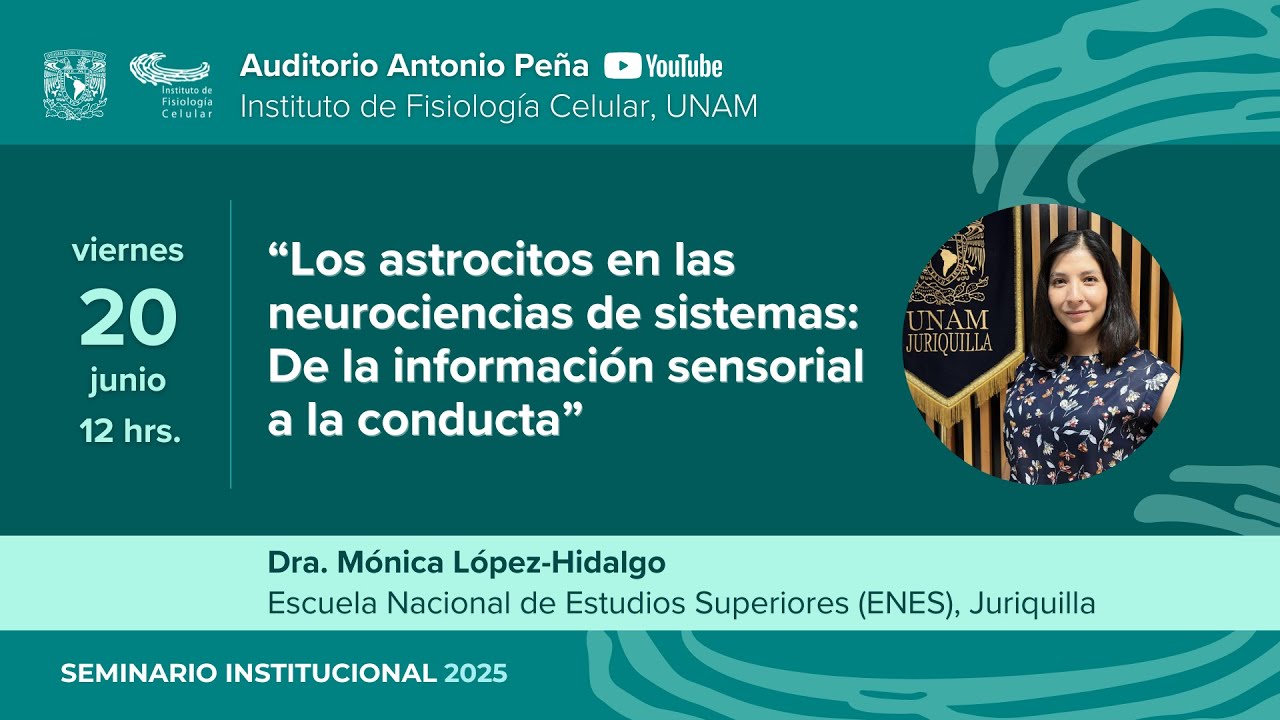 Los astrocitos en las neurociencias de sistemas: de la información sensorial a la conducta