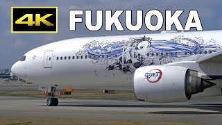 [4K] Plane spotting at Fukuoka Airport - Using RW34 - / 福岡空港 / Fairport