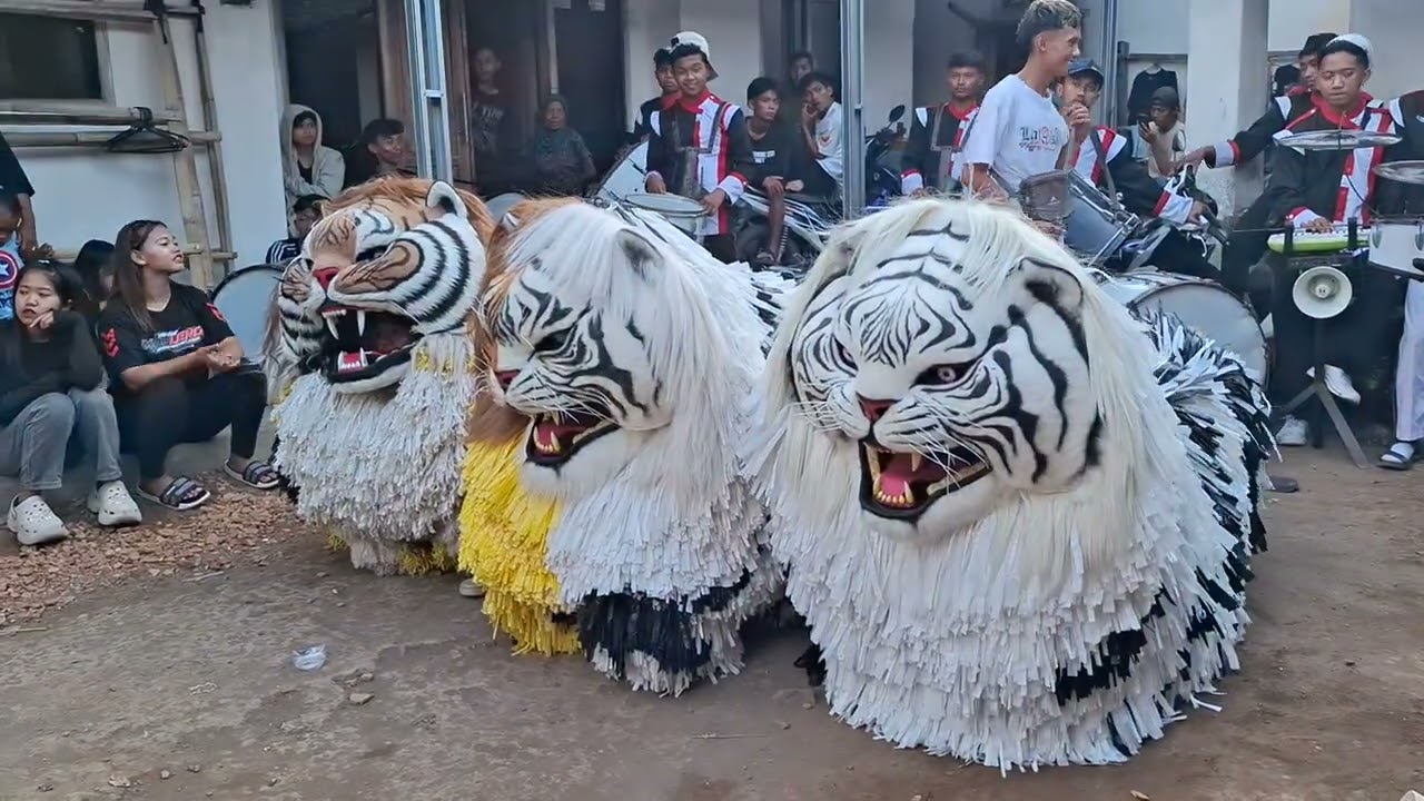 Can macanan Jember .singa nanjaya bersama drambend gaul jaya 