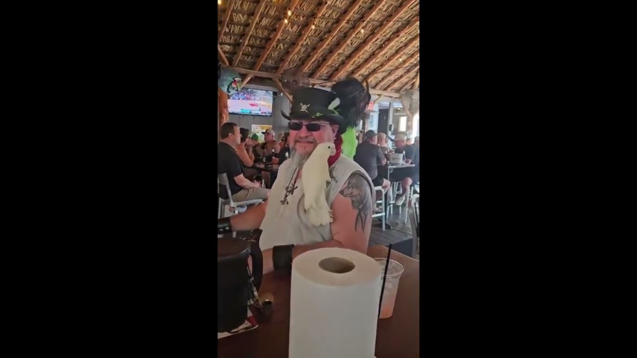 Party Parrots - Marvin Getting Her Dance On