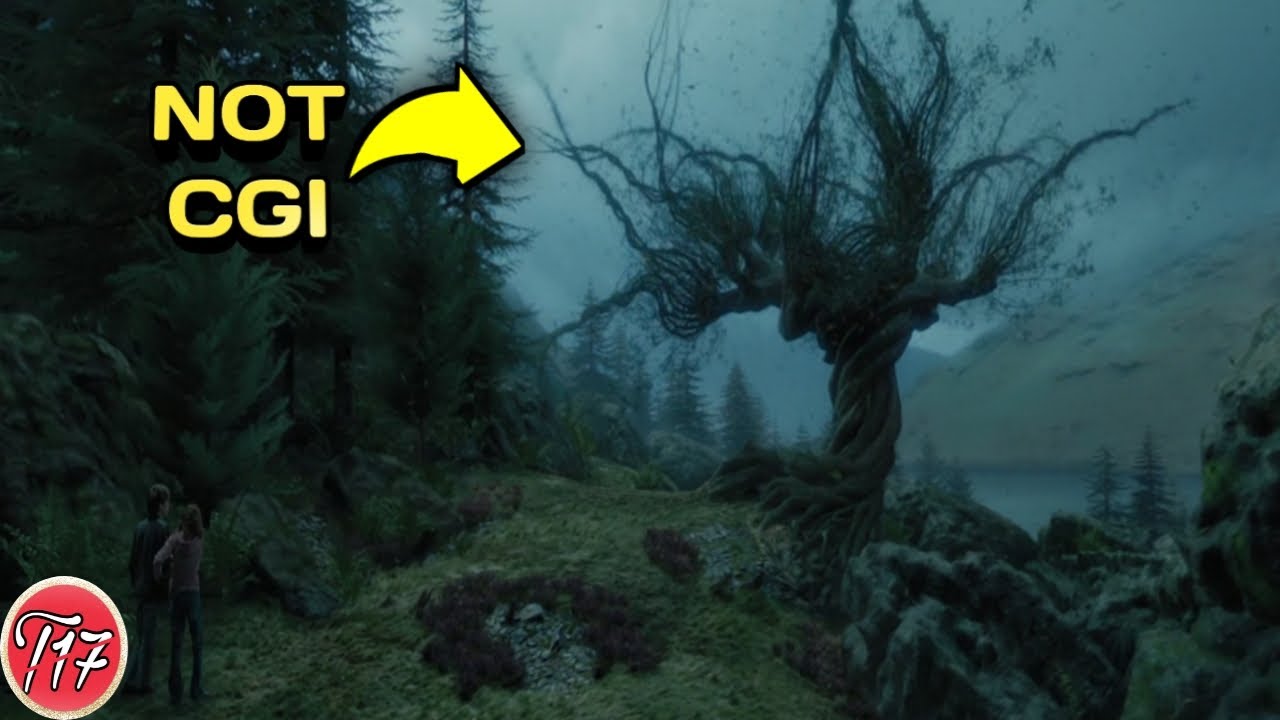 Wo Harry Potter Scenes Jinhe Practical Effects Se Banaya Gaya Hai