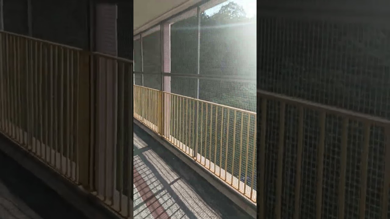葵芳行人天橋到葵涌公園