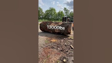 Part 1 Sometimes you gotta improvise…13000lbs White Oak rolling to the Sawmill #sawmill #wood #heavy
