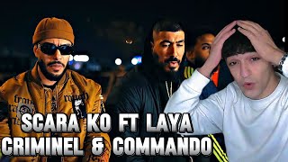 Scara Ko Ft Omar Laya - Criminel Commando Reaction