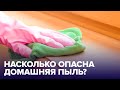 Домашняя ПЫЛЬ ОПАСНА для жизни? Как с ней бороться?