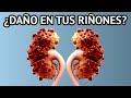 11 HÁBITOS QUE DAÑAN TU RIÑÓN - ¿cómo cuidar tu riñón?