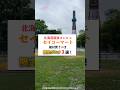 【北海道】セコマで絶対買うべき限定グルメ3選!#shorts #北海道 #セコマ