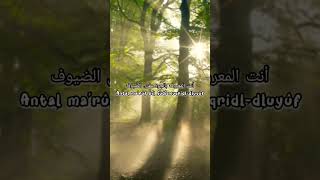 Status WhatsApp | Lirik Lagu Allah Allah Aghisna - Nazwa Maulidia #shorts #sholawat #trending