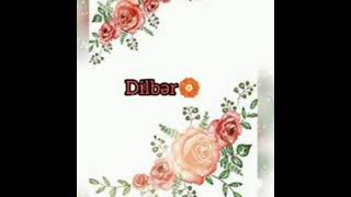 Dilbər Adına Video