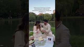 Ideia De Chá Revelação Bolo Revelação