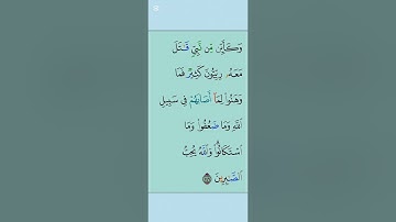 القران الكريم سورة آل عمران اية 146 #مقاطع_دينية #تلاوة_خاشعة #duet #المصحف #دعاء #ذكر_الله #تدبر_