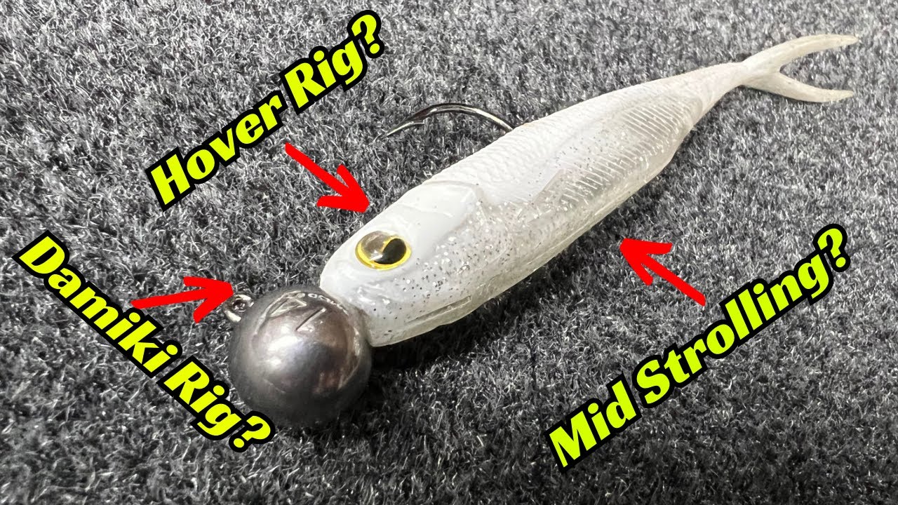 These Damiki Rig Baits Are Dominating Everywhere! Can The Be