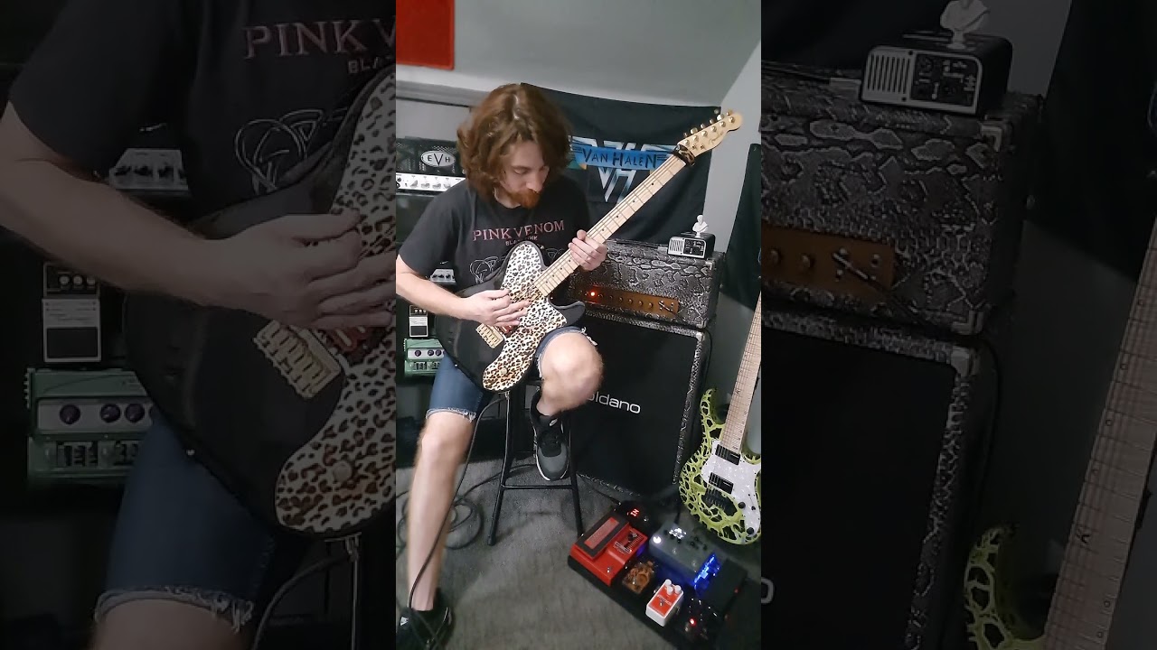 Baritone Tele Death Groove 