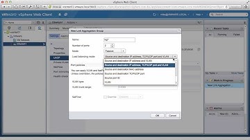 Link Aggregation Groups - VMware vSphere Distributed Switch
