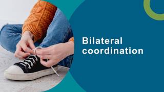 Fine motor skills (4/7): Bilateral coordination