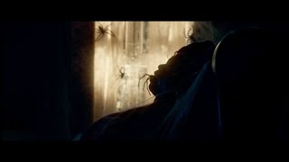 Vermin, La Plaga (Vermines) (Infested) (スパイダー 増殖) (S.Vanicek, 2023) - Trailer Castellano HD 1080p.