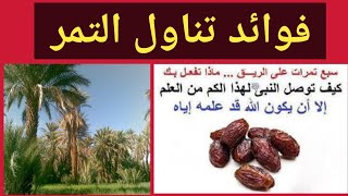 فوائد التمر المذهلة ستجعلك تتناوله يوميا