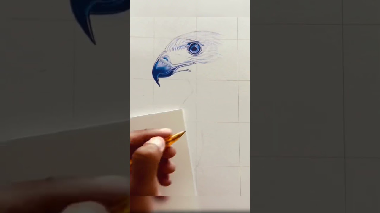 Eagle face realistic drawing | bird beautiful drawing | Timelapse drawing short video