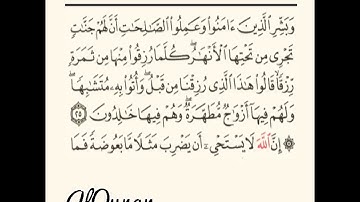 سوره البقره من الايه 25 الى الايه 37  AlQuran❤