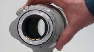 Canon EF 200-400mm f/4L IS USM Extender 1.4x Quick Review