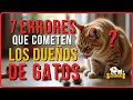 ERRORES MORTALES que COMETEN (casi) TODOS los DUEÑOS de GATOS (¡Y cómo EVITARLOS!)