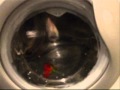 ROSE WASH :: Candy GO4 1274 LH washing machine