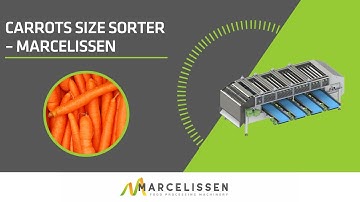 Carrots Size Sorter – Marcelissen