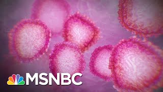 Still No Leadership From Trump Officials On Fighting Coronavirus | The 11th Hour | MSNBC