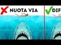 10 Semplici Modi Di Sopravvivere All'Attacco di Un Animale Selvatico