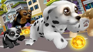 Pet Run - Puppy Dog Game screenshot 3