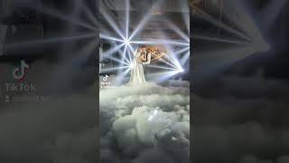 тяжёлый дым свадьба Могилёв искрометы спаркуляры световое оборудование первый танец ночь