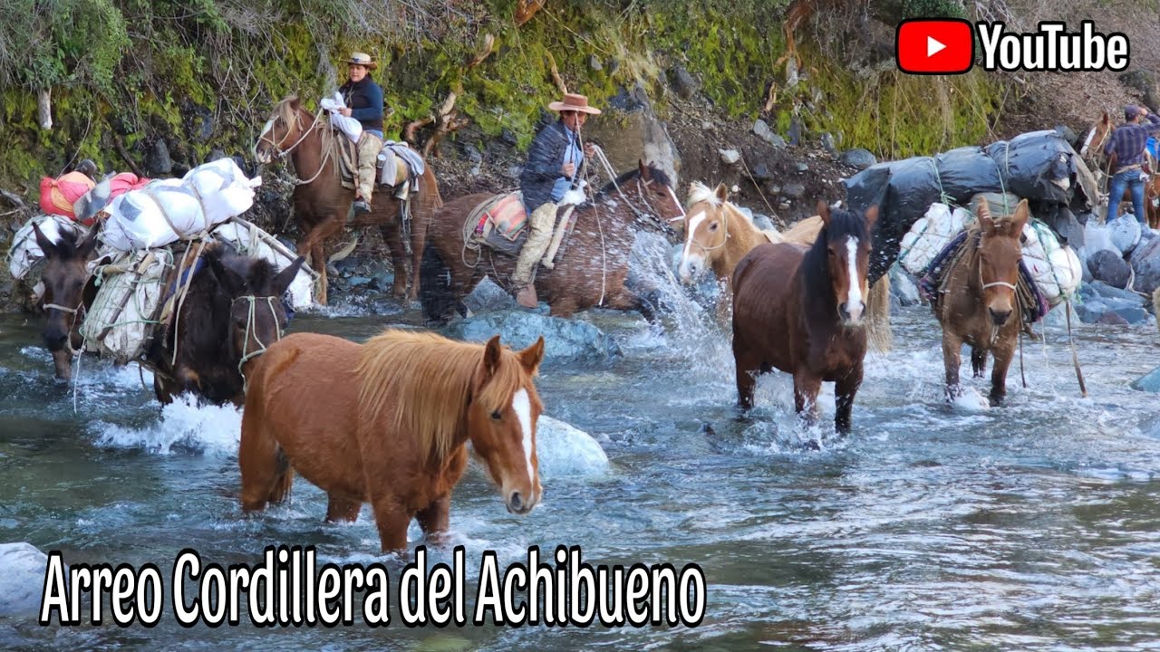 La Cruzada por las Lástimas Arreo de Cabras capítulo 4 Buscando el alojo en la casa de Tabla