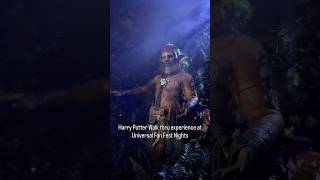 Meeting a Centaur in real life