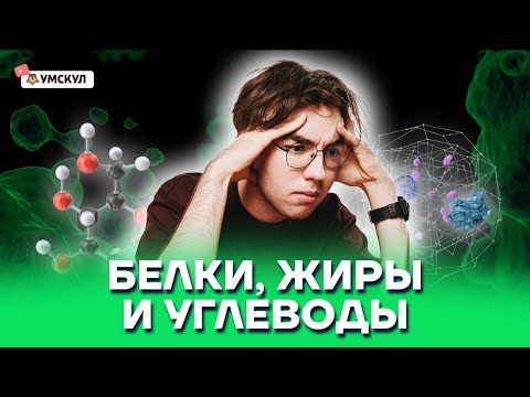 Белки, жиры и углеводы | Биология ОГЭ 2022 | Умскул