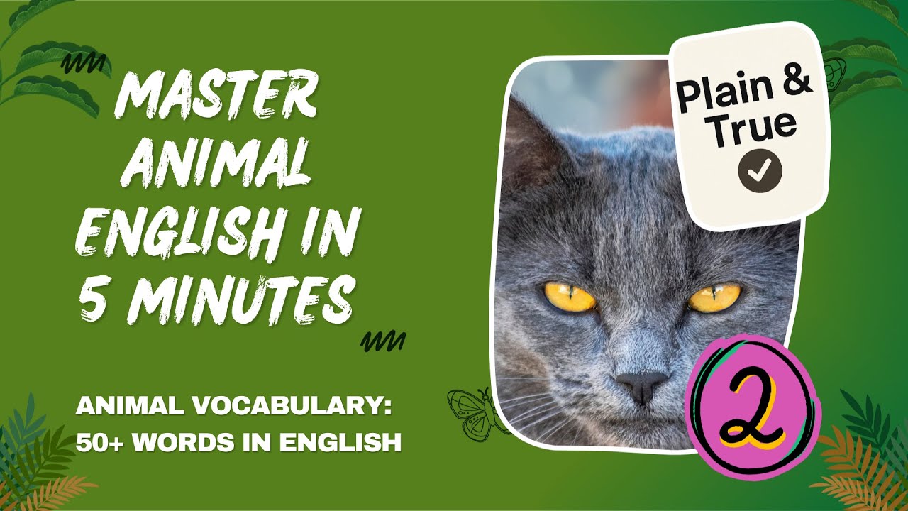 Master Animals Master Animal English in 5 Minutes Part 2 - YouTube