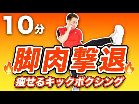 【撃退10分】脚の脂肪燃焼するなら痩せるキックボクシング【脚やせ有酸素運動】