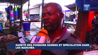 Rareté des poissons hareng et spéculation dans les marchés