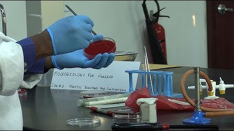 LAB 2 - Aseptic Technique & Cultivation