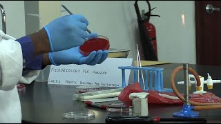 LAB 2 - Aseptic Technique & Cultivation