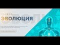 Как работать с сервисом Эволюция