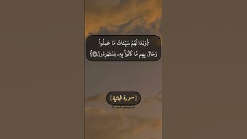 سورة الجاثية الآية ٣٢ الى ٣٤ بصوت الشيخ محمد صديق المنشاوي