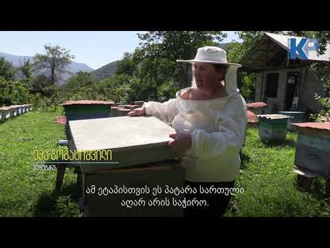 მეფუტკრეები საჩხერიდან